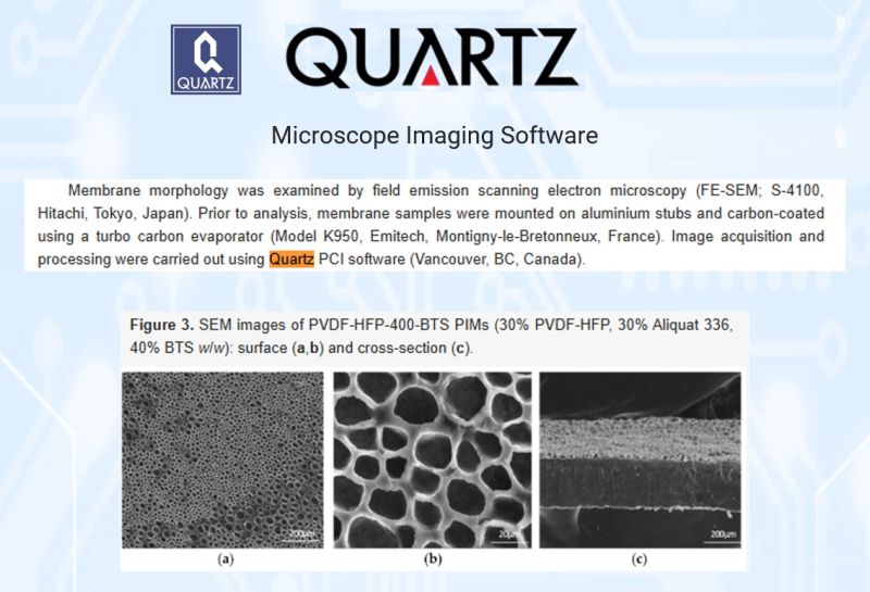 SEM images of a PVDF-HFP polymer inclusion membrane (30% PVDF-HFP, 30% Aliquat 336, 40% BTS): surface (a, b) and cross-section (c), captured with Quartz PCI